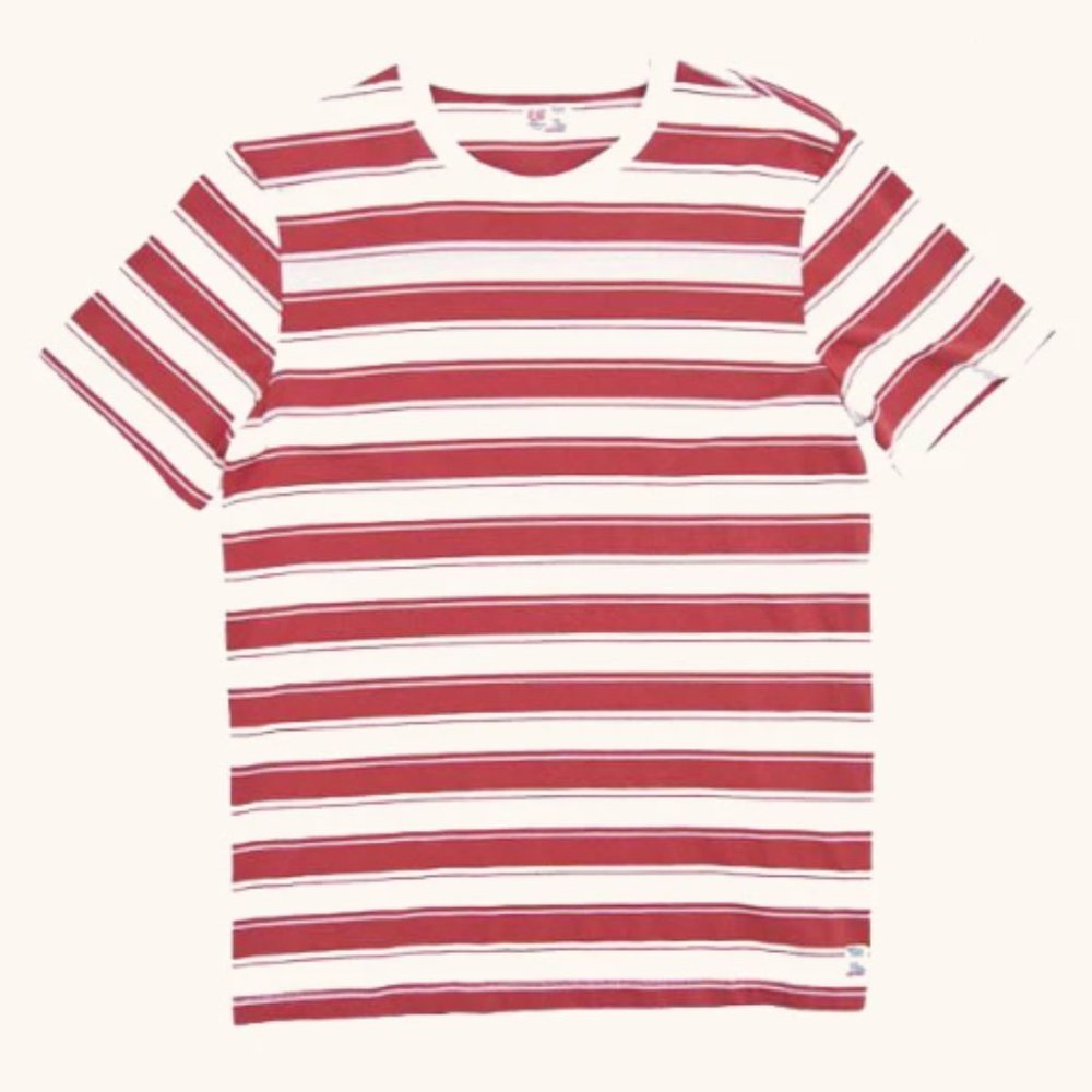 Vintage Malibu Strip Tee, Lava Rock